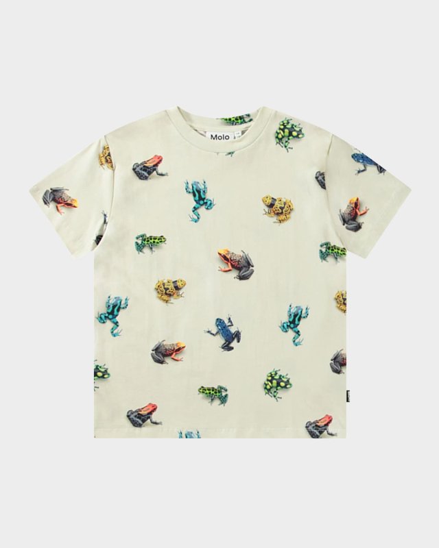 Boy's Roxo Graphic Frog T-Shirt, Size 8-10